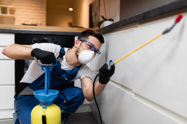 Best Best Pest Control Companies  in Ocean Pines, MD