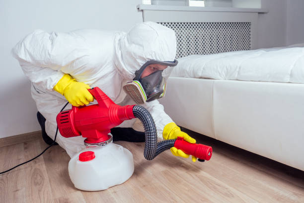 Best Local Pest Control Services  in Ocean Pines, MD