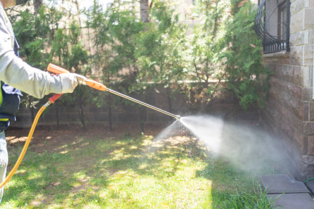 Best Termite Control Services  in Ocean Pines, MD