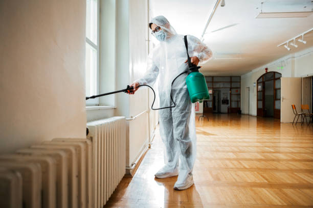 Flea Control Services in Ocean Pines, MD