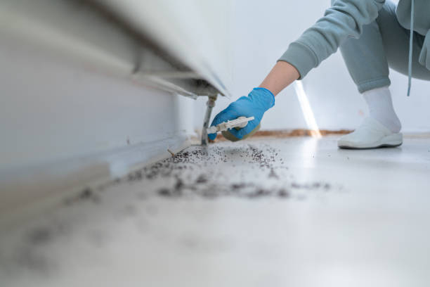 Best Pest Removal Services  in Ocean Pines, MD